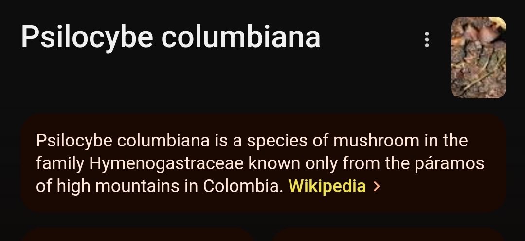 Screenshot_20231231_121728_Samsung Internet.jpg