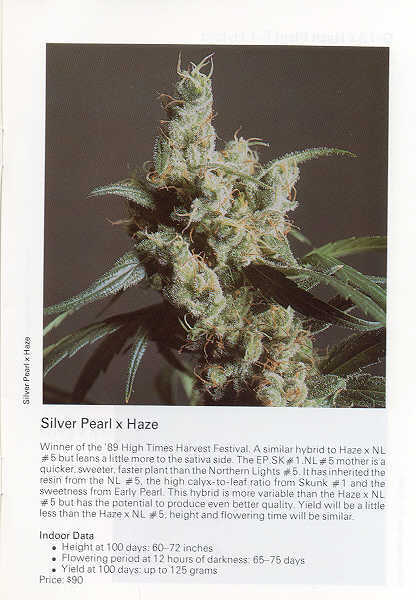 Silver Pearl Haze 1990 catalogue.jpg