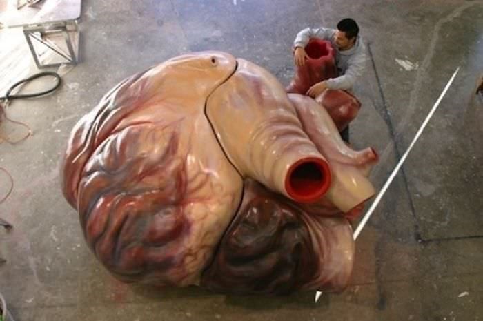 size-of-a-blue-whales-heart.jpeg