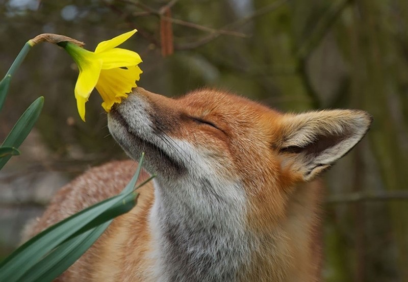 Smell the flowers.jpg