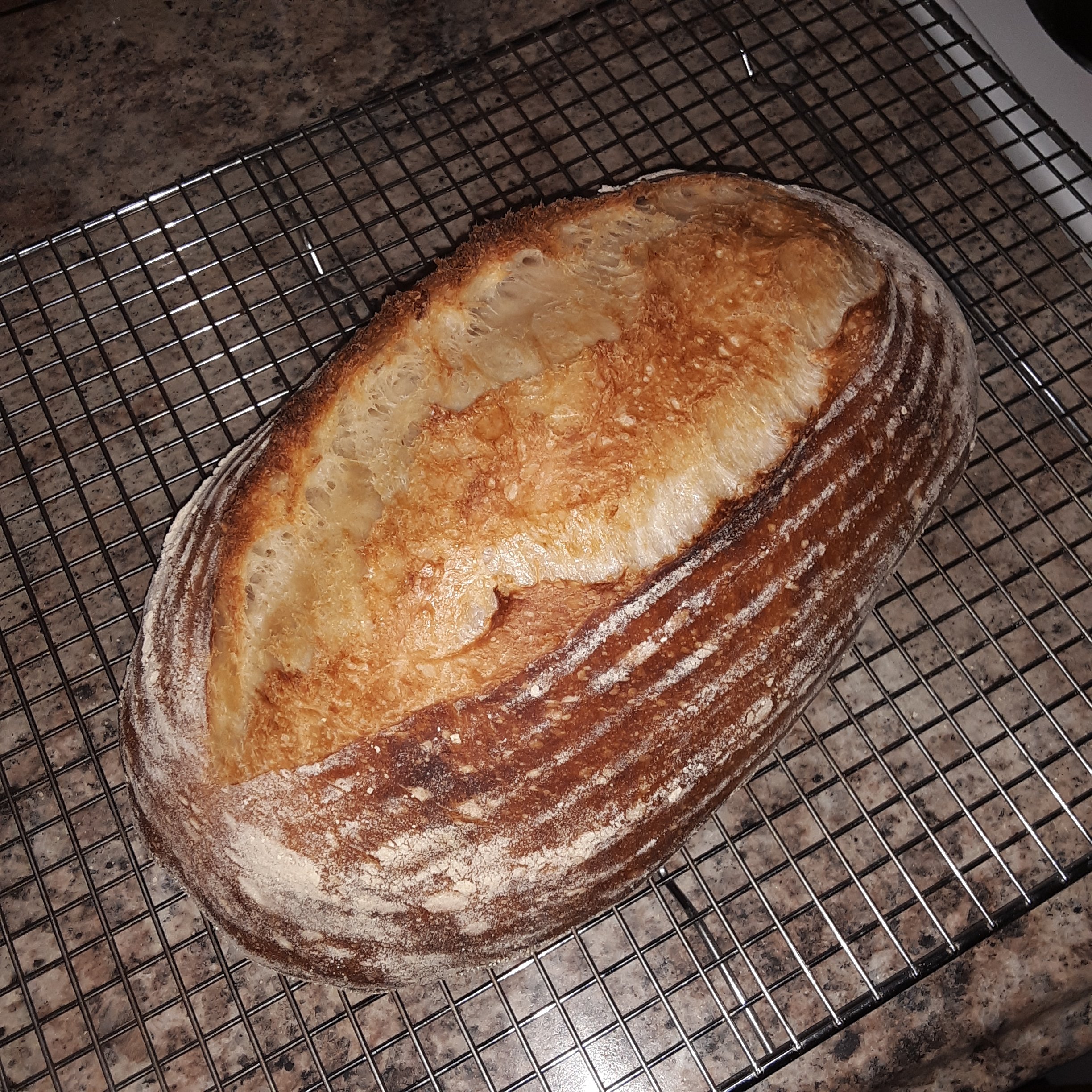 Sourdough24.jpg