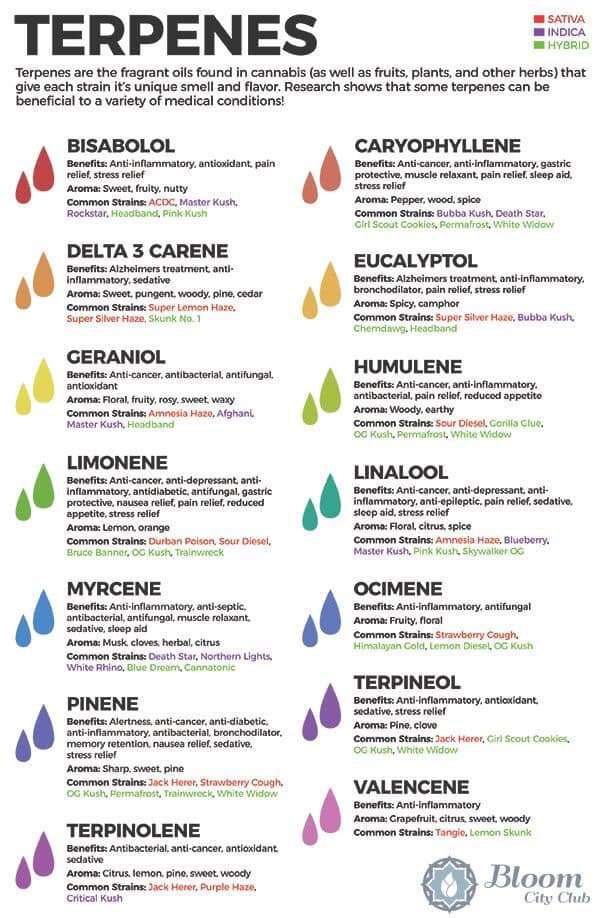 Terpene Chart.jpg