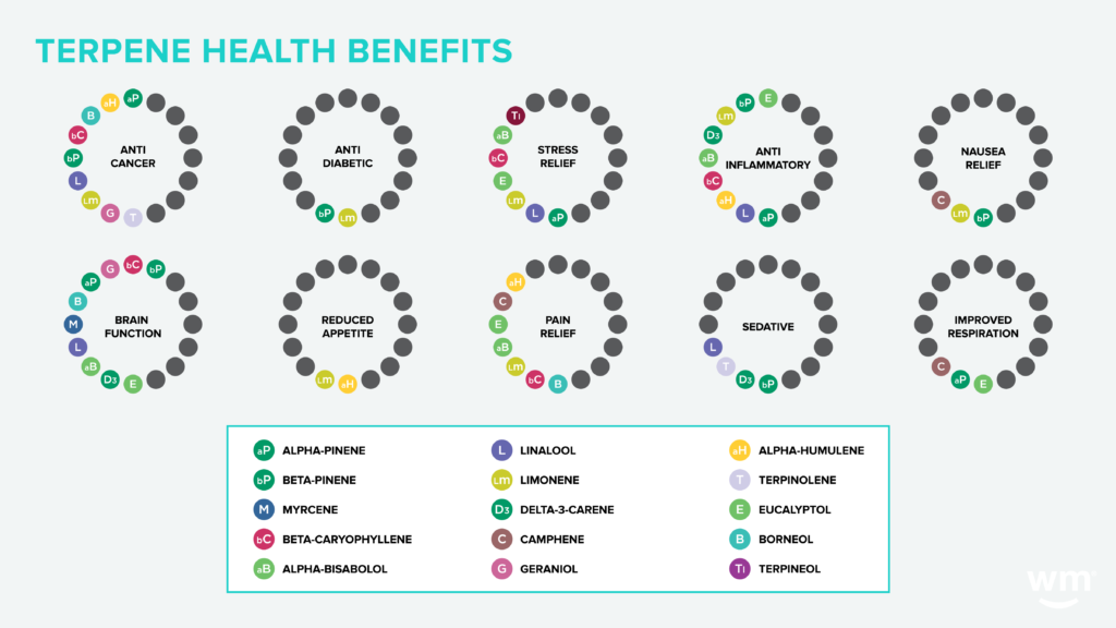 Terpene_Chart2-1024x576.png