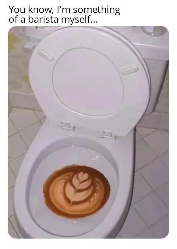 toilet-know-something-barista-myself.jpeg