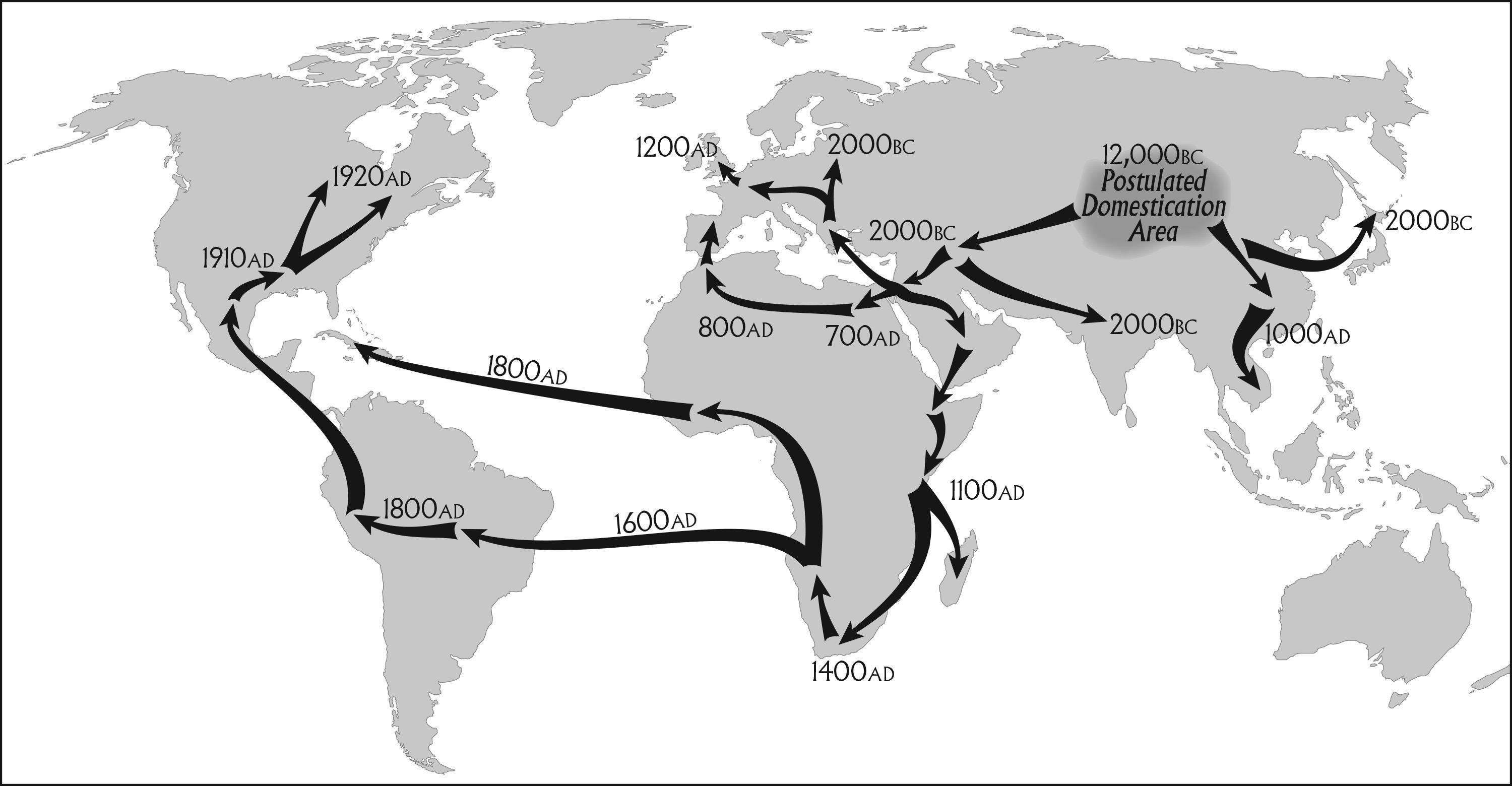 trading route 2.jpg