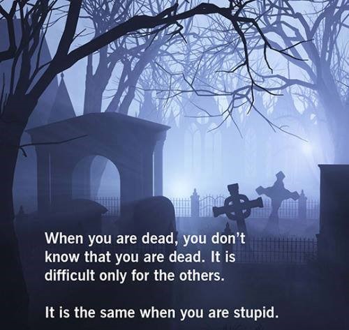 when you are dead or stupid........jpg