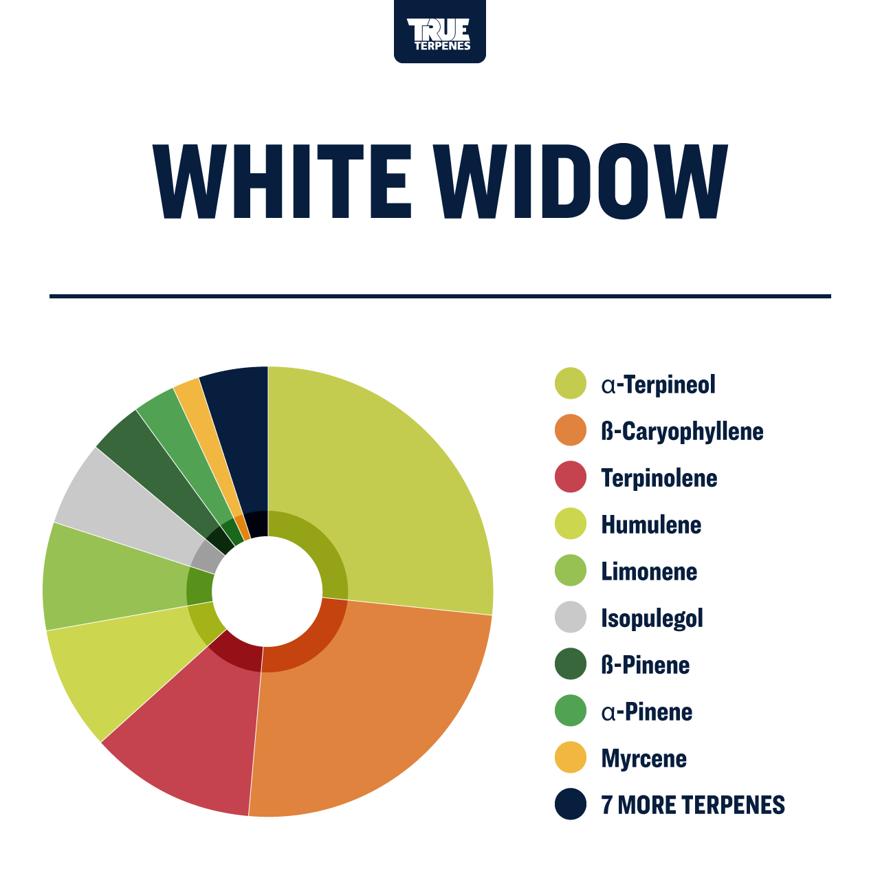 White-Widow.png