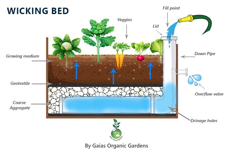 Wicking-Bed-1.jpg