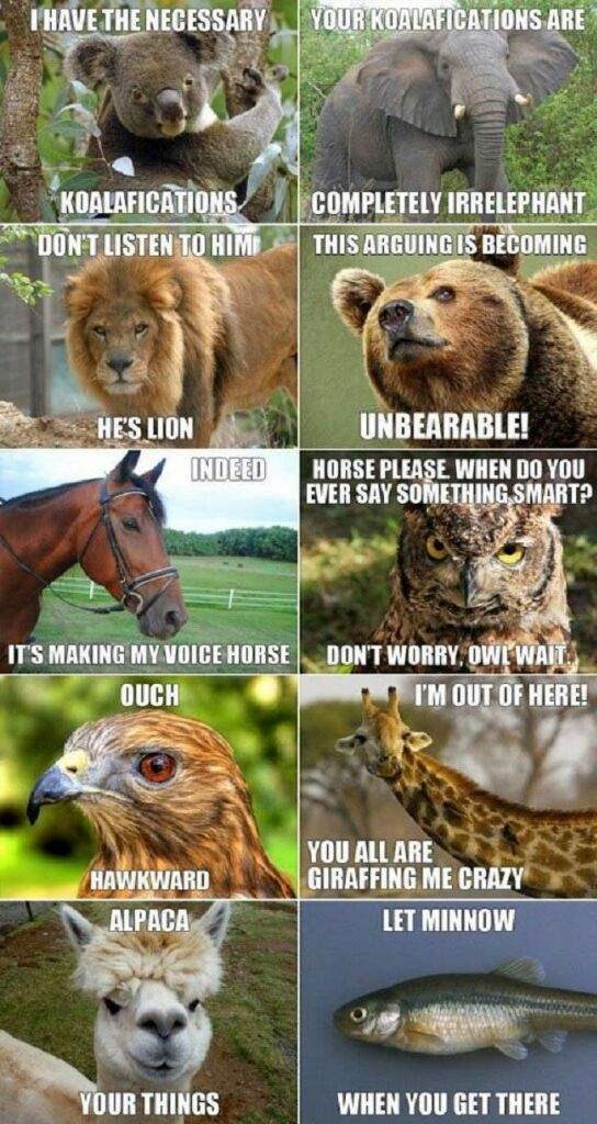 worry-owl-wait-ouch-hawkward-alpaca-out-here-all-are-giraffing-crazy-let-minnow-things-get-th...jpeg