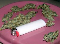 3 25 2011 LED grown bud good stuff.jpg