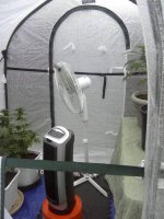 greenhouse(update)1.jpg