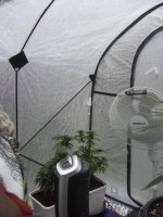 greenhouse(update)2.jpg