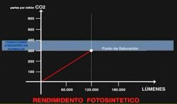 requerimientos luminicos y CO2.jpg