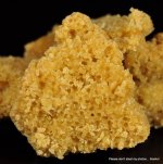 house mixed budder (6).jpg