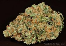 milehighgreencross-sour grape dry-2.jpg