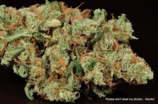 milehighgreencross-sour grape dry-6.jpg