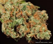 milehighgreencross-banana kush dry-6.jpg