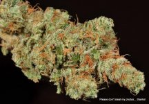 milehighgreencross-banana kush dry-9.jpg