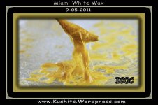 miami-white-wax-lg-new.jpg