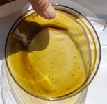 Thin film vacuum purged BHO absolute.jpg