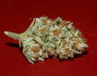 strawberry fire #5 dry...... (2).jpg