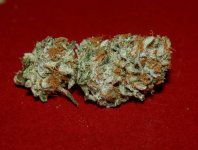 strawberry fire #5 dry....... (2).jpg