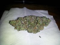 Bluemoonshine x dcxdp #2.jpg