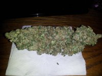 bluemoonshine x dcxdp#3.jpg