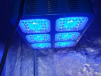 kill-a-watt-led-grow-lights 027.jpg