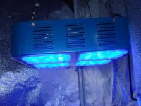 kill-a-watt-led-grow-lights 026.jpg