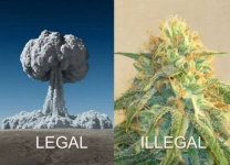 Legal+vs+illegal_296722_3346554.jpg