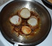 Scallops-p15_09-10-12.jpg