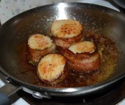 Scallops-p16_09-10-12.jpg