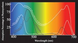 SpectralAbsorptionE