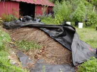 compost pile.2.JPG