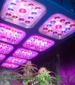 flower-led-grow-light-5.jpg