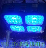 veg-led-grow-light-1.jpg