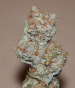 Superskunk-anderer-Pheno.jpg