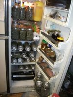 th fridge march 29-13.jpg