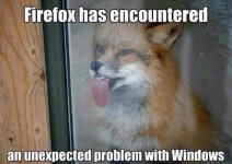 firefox problem.jpg