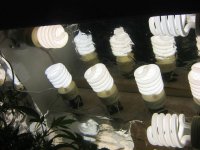 CFL Grow 2009 048.jpg