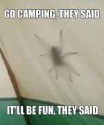 Camping%20Fun.jpg