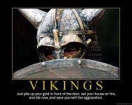 vikings-demotivate.jpg