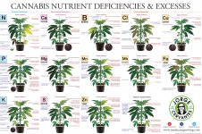 Carences-et-exces-alimentaires.jpg