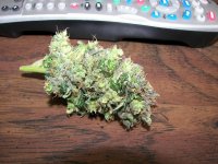 nice bud 3.jpg