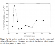 Ultravioletaction spectrum for stomatal opening in broad bean.png