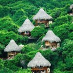 Thatched_Roofs_(Sierra_Nevada_de_Santa_Marta,_Colombia).jpg