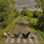 country version of Abbey Road.jpg