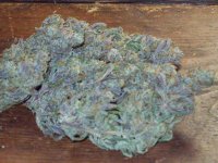 PURPLE SKULL BUDD DRY 026.jpg