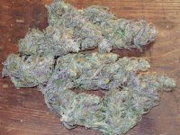 PURPLE SKULL BUDD DRY 029.jpg